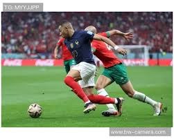 媒体人：如果不是球队伤病多，小杨就在发展联盟专心练级挺好